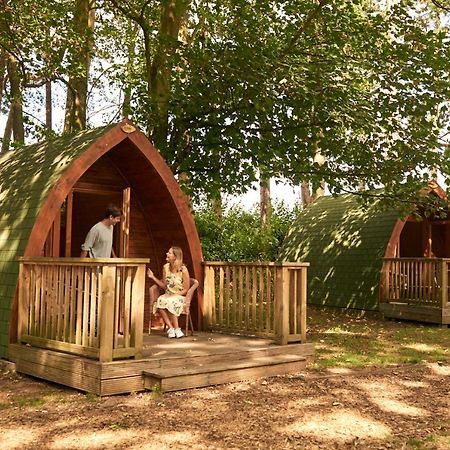 Pinewood - At Port Lympne Reserve Hythe  Ngoại thất bức ảnh