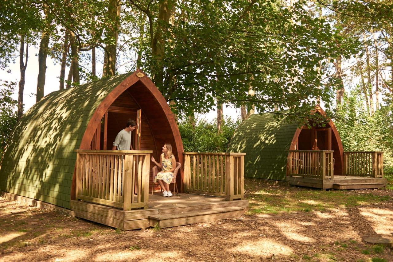 Pinewood - At Port Lympne Reserve Hythe  Ngoại thất bức ảnh