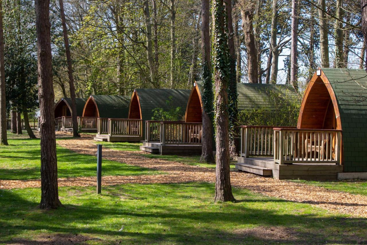 Pinewood - At Port Lympne Reserve Hythe  Ngoại thất bức ảnh